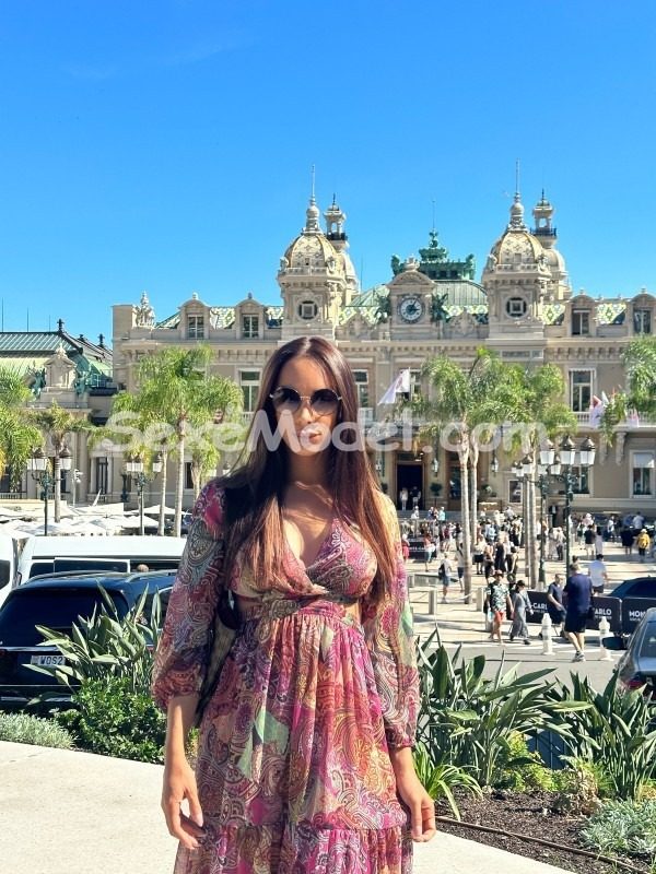TransLuxeAntibes photo 4