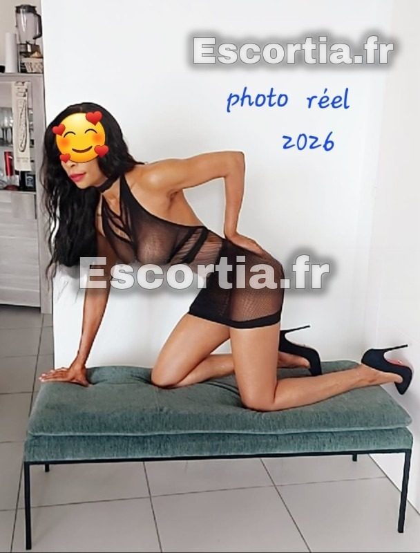 Adria10 photo 3