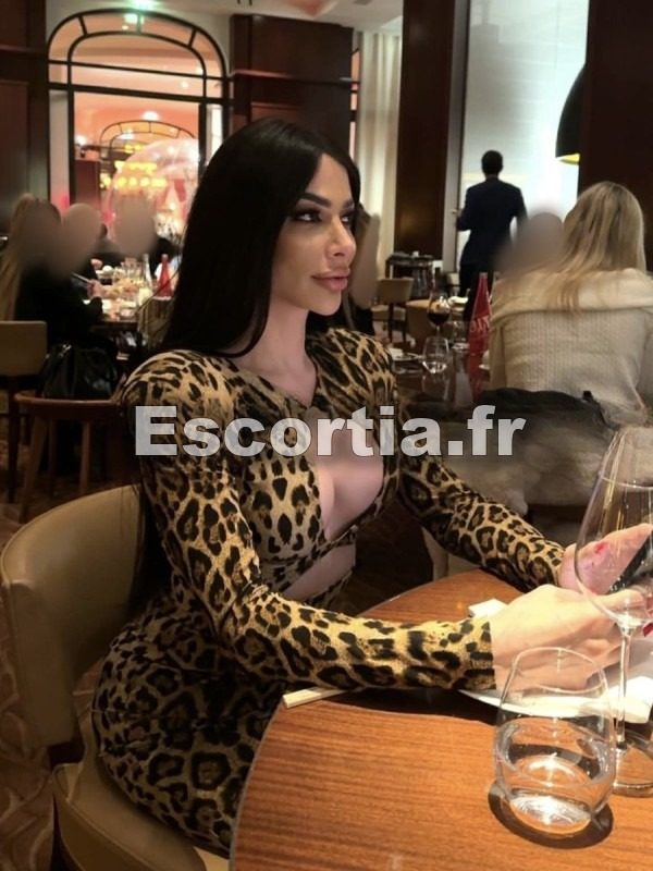 Haifa escort Paris
