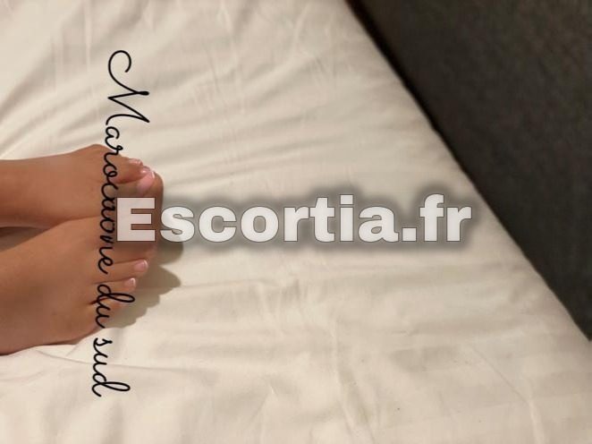 Experte FEL photo 3