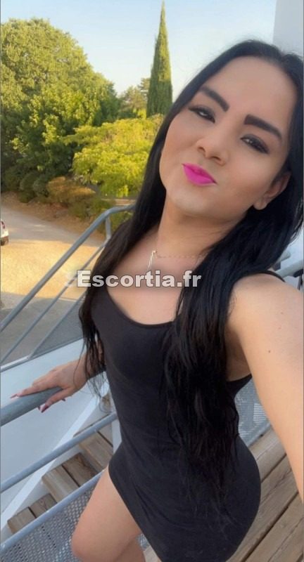 TRANS appart climatiseur photo 2