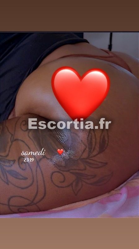 Chat en feu escort Villeurbanne