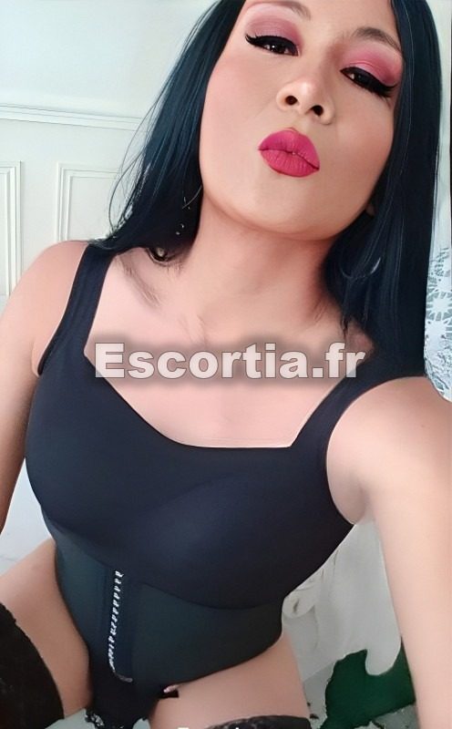 Trans misti latina escort Saint Louis