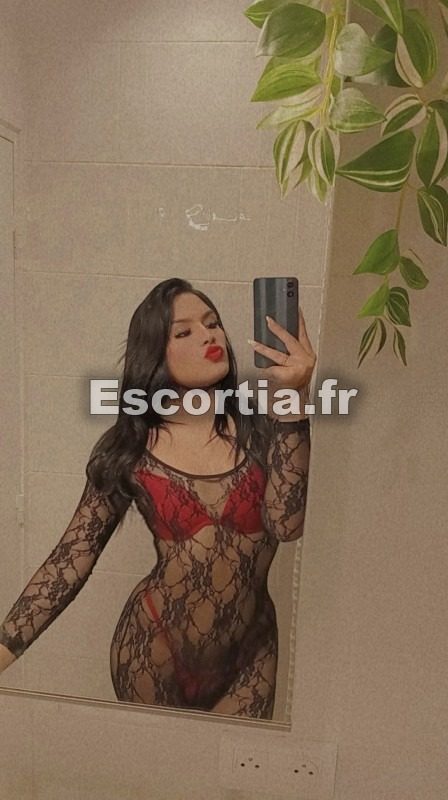 CATALINA SALOPE 20cm photo 4