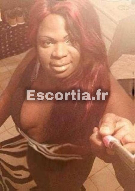 PERLA BLACK SUR BREST photo 4