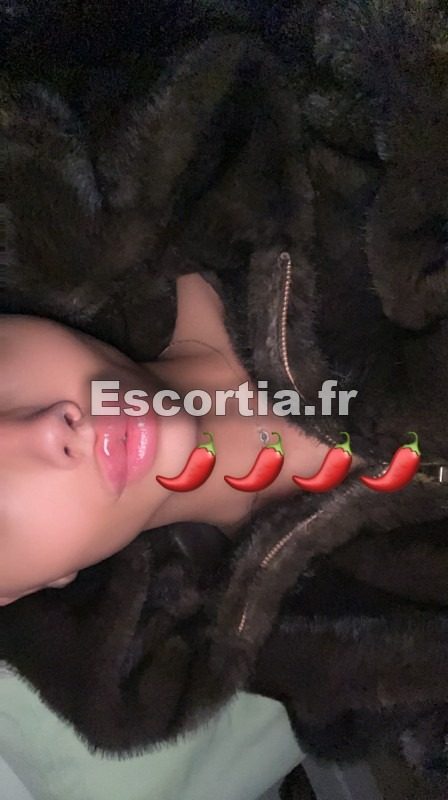 diiamant.Chiienne photo 2
