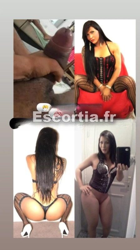 TRANS.PAOLA SANS TABU .21CM photo 2