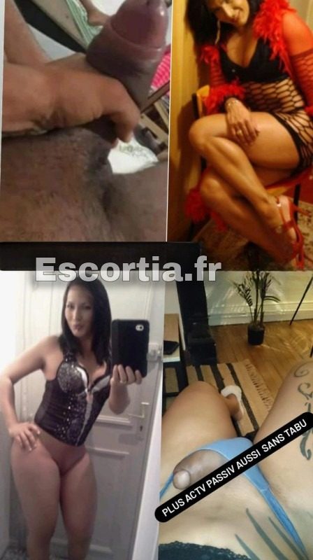 TRANS.XXL 21 CM CHAUD escort Roubaix