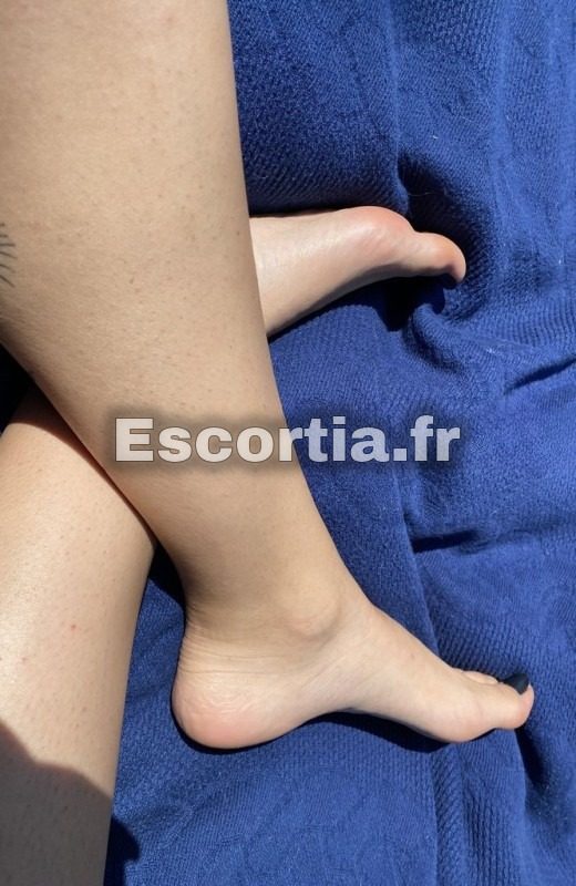 planvoiturerecois photo 3