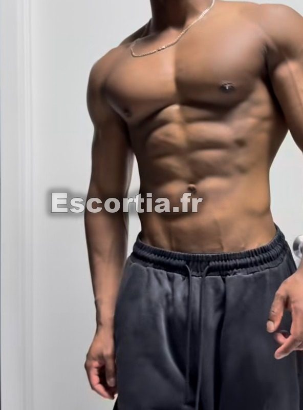 Bangar escort Bayonne