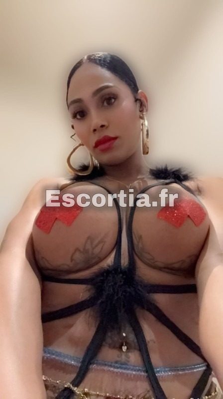 Mielmely nouvelle photo 2