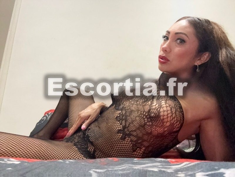 BELLE TRANS OPERE photo 4
