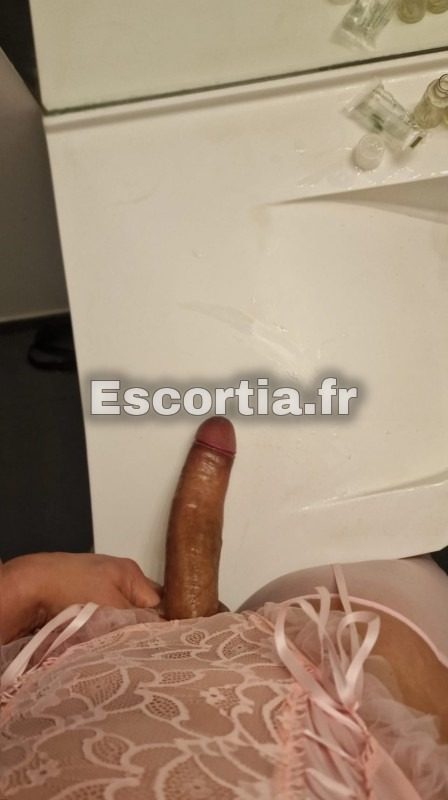 Bombe latine trans xl grazy photo 2