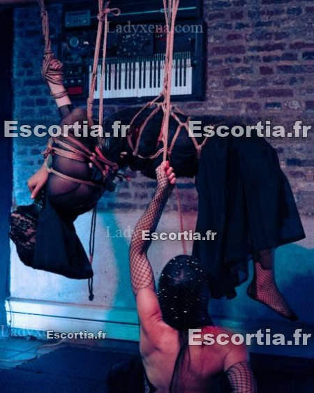 Descordesaparis photo 3