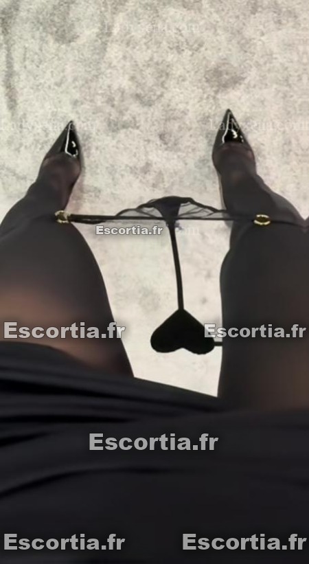 Exotica escort SAINTES