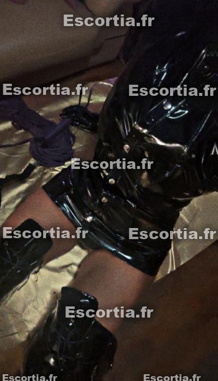 Leacat photo 4