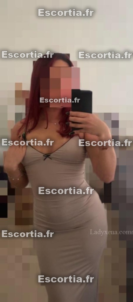 Miamia2 photo 4