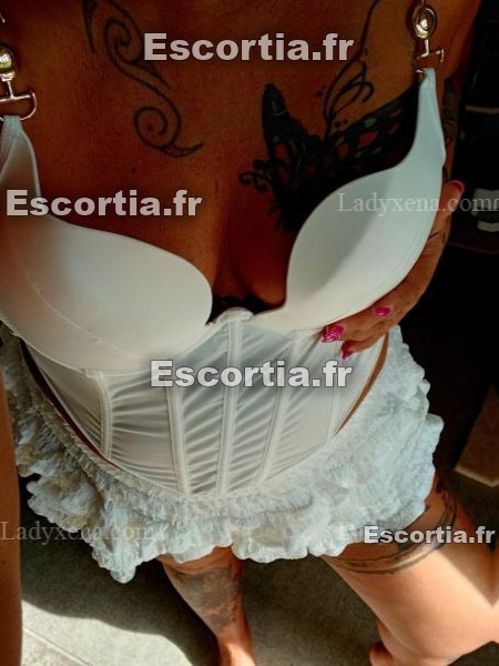 Misspapillon photo 3