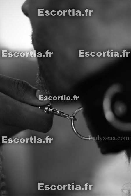 Mllesyara photo 2