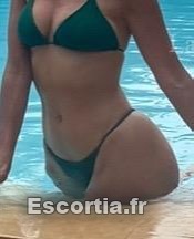 Shana4 photo 2