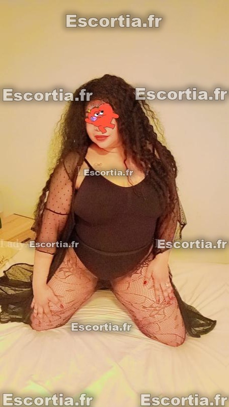 Taprefere photo 3